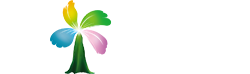 海口桃尔元网络科技有限公司